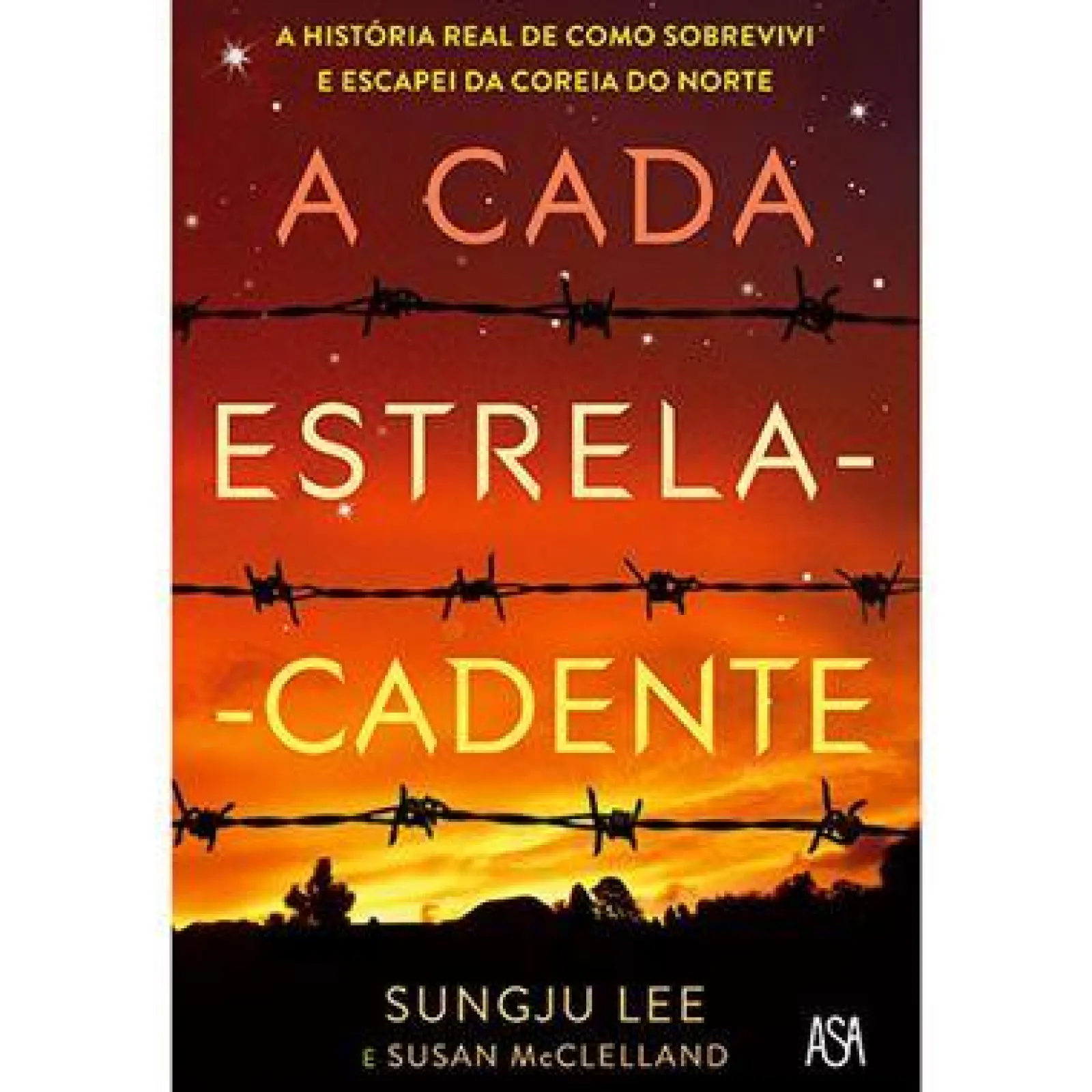 Asa A Cada Estrela Cadente de Sungju Lee e Susan McClelland^ Literatura Juvenil
