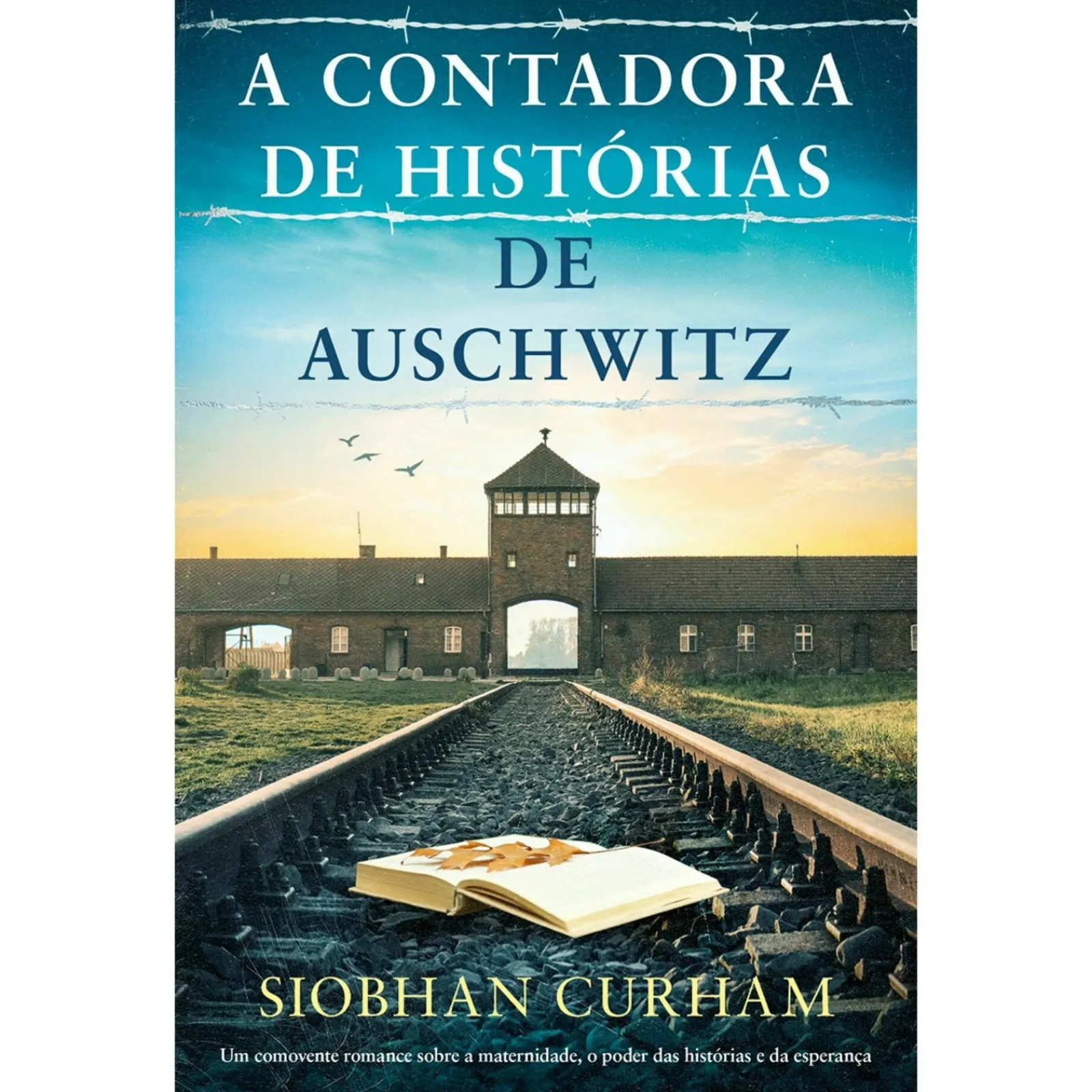 Singular A Contadora de Histórias de Auschwitz de Siobhan Curham^ Romance Histórico