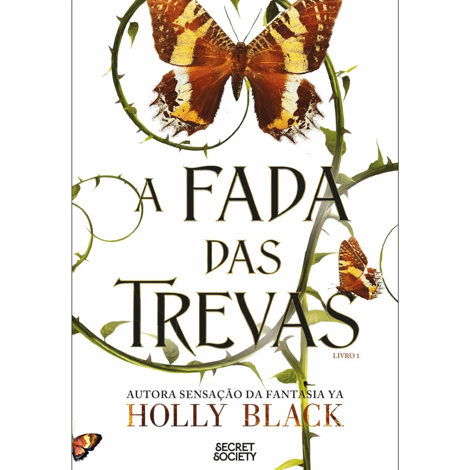 Secret Society A Fada das Trevas de Holly Black - Livro 1^ Young Adult