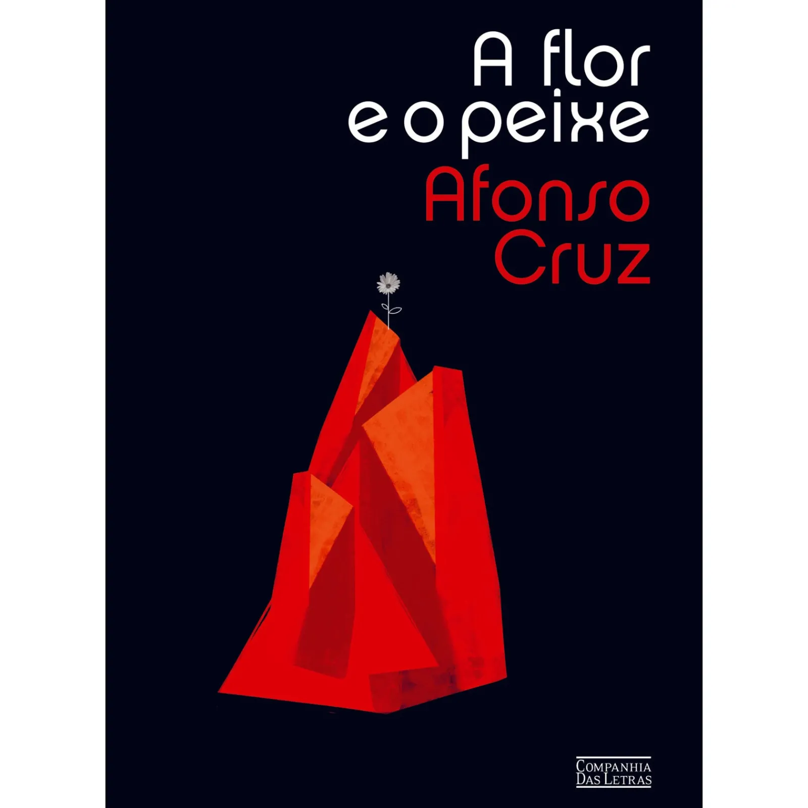 Companhia Das Letras A Flor e o Peixe de Afonso Cruz^ Romance