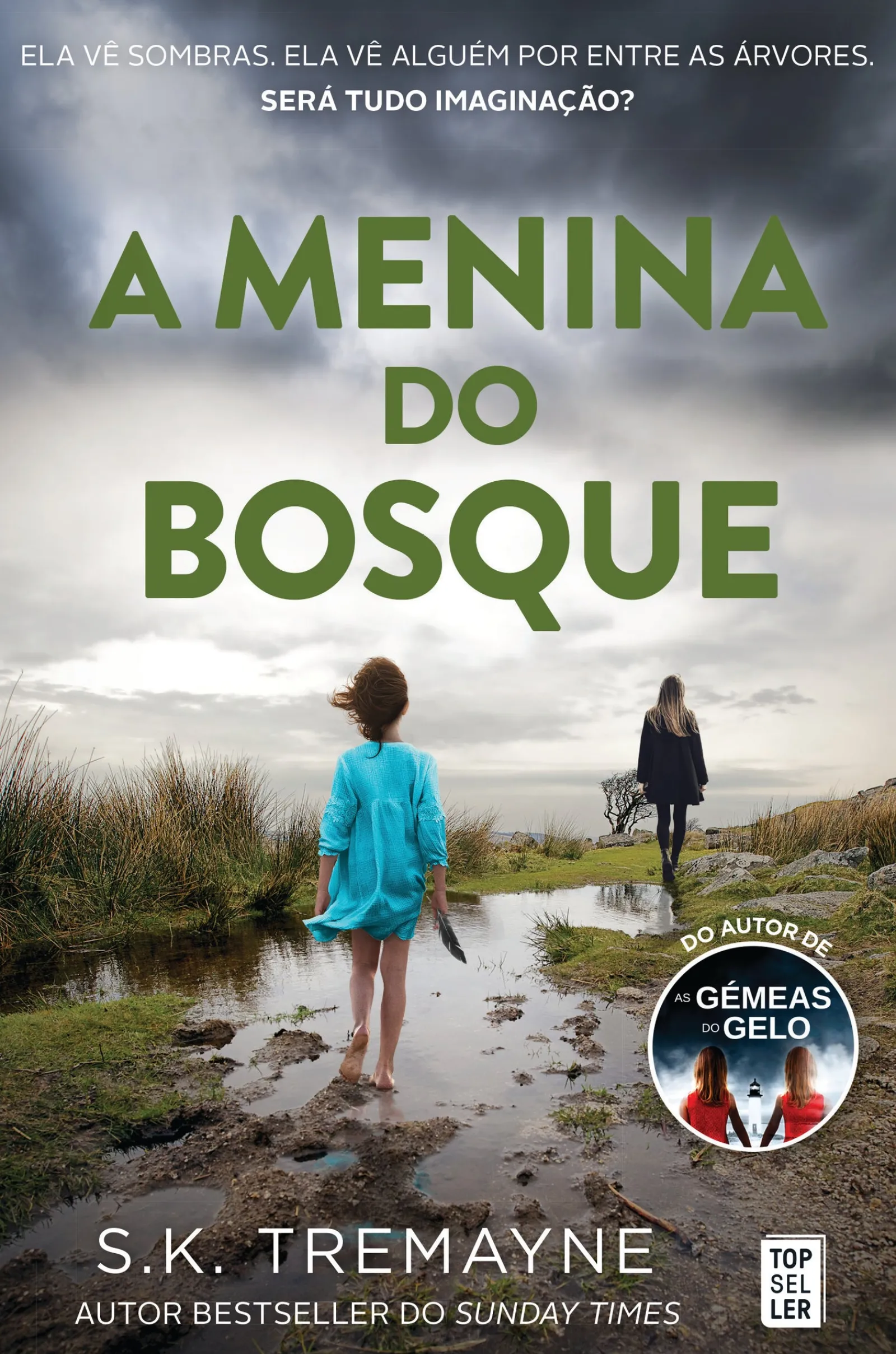 Topseller A Menina do Bosque de S. K. Tremayne - (2ª Edição)^ Policial