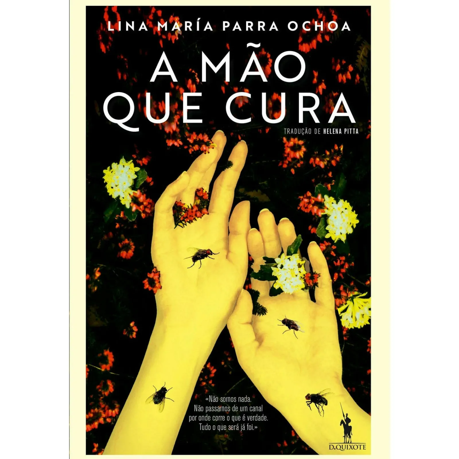 Dom Quixote A Mão que Cura de Lina María Parra Ochoa^ Espiritualidade