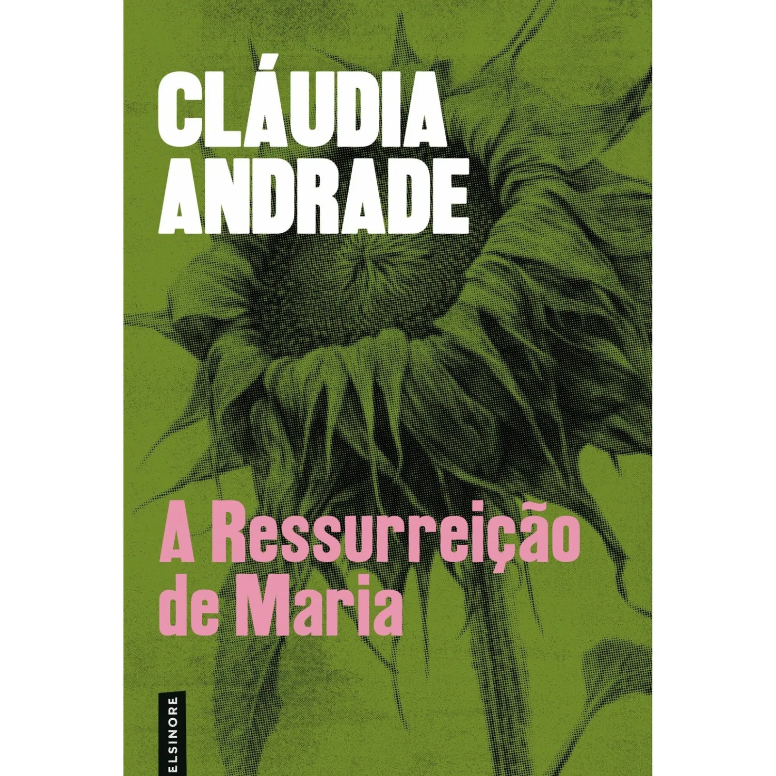 Elsinore A Ressurreição de Maria de Cláudia Andrade^ Romance