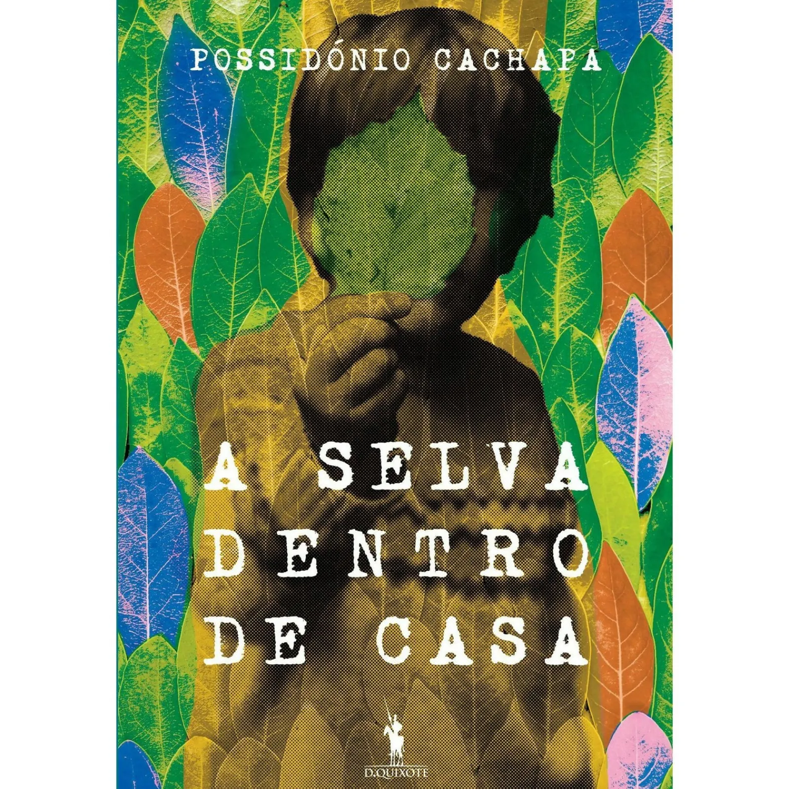 Dom Quixote A Selva Dentro de Casa de Possidónio Cachapa^ Romance