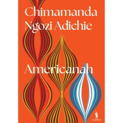Dom Quixote Americanah de Chimamanda Ngozi Adichie^ Romance