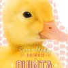 Jacarandá Animais da Quinta - Toca e Brilha^ Bebé