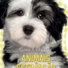 Jacarandá Animais de Estimação - Toca e Brilha^ Bebé