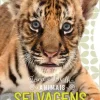 Jacarandá Animais Selvagens - Toca e Brilha^ Bebé