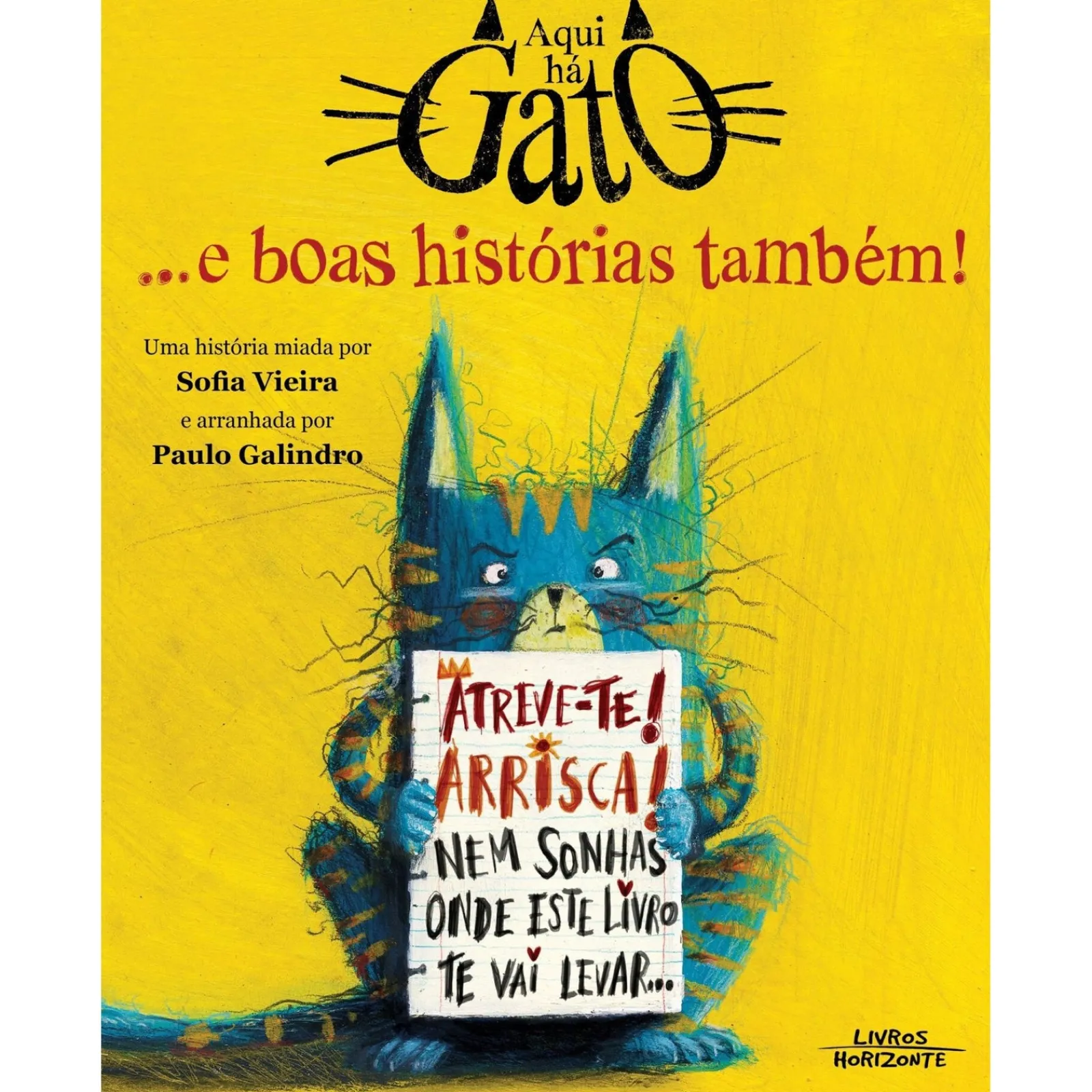 Horizonte Aqui Há Gato... e Boas Histórias Também! de Sofia Vieira^ Literatura Infantil