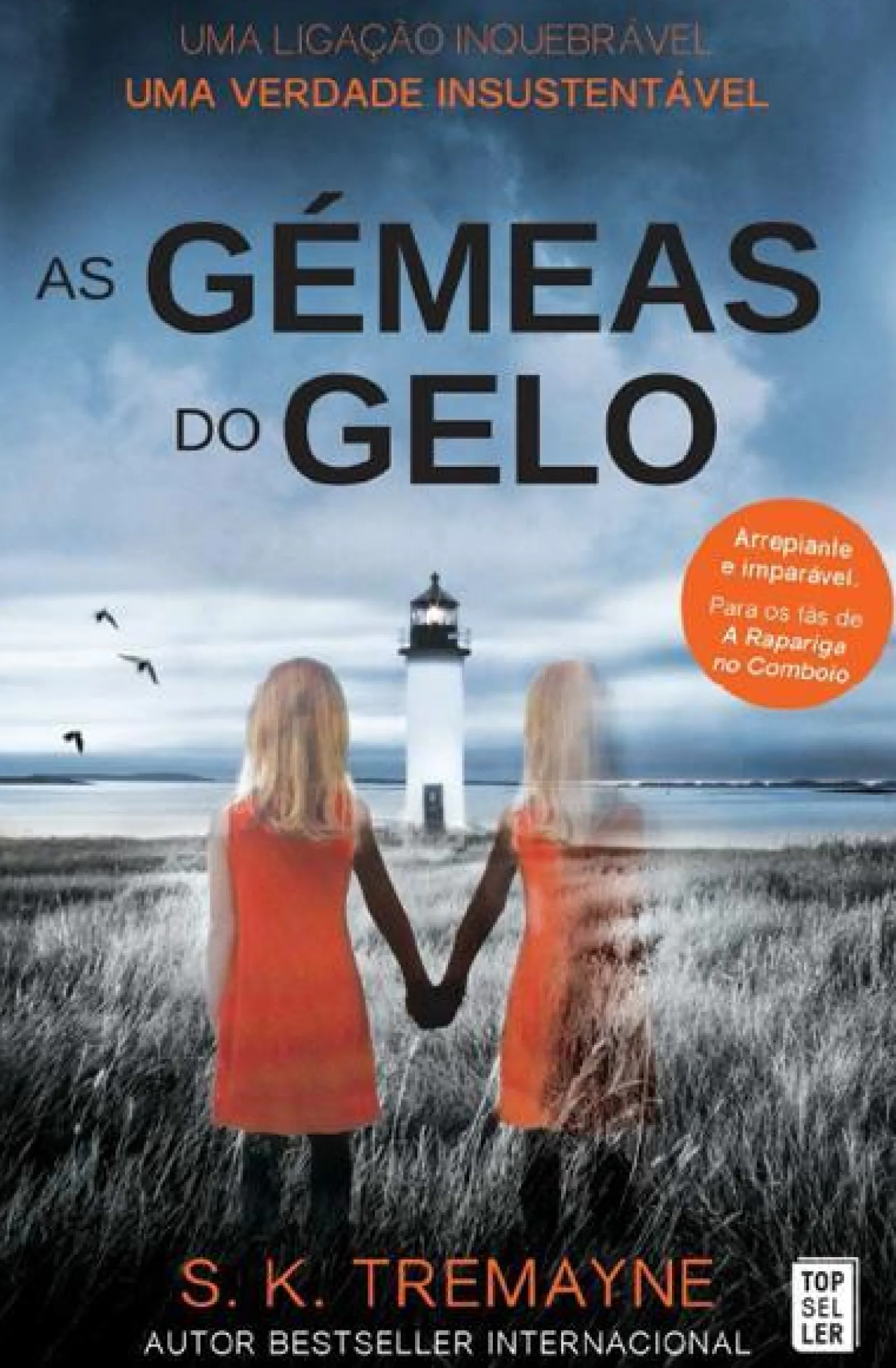 Topseller As Gémeas do Gelo de S. K. Tremayne - (4ª Edição)^ Policial