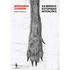 Dom Quixote As Minhas Estúpidas Intenções de Bernardo Zannoni^ Fantástico