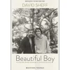 Editorial Presença Beautiful Boy de David Sheff^ Vidas Reais