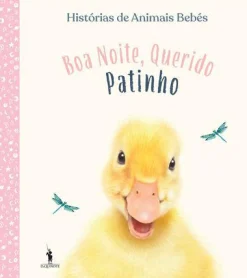 Dom Quixote Boa Noite, Querido Patinho de Vários Autores^ Literatura Infantil