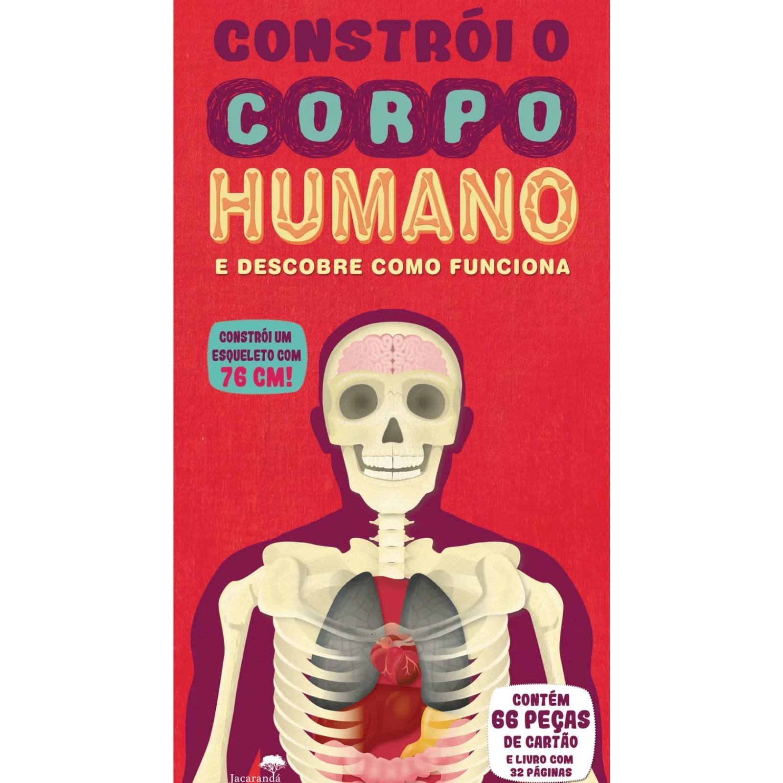Jacarandá Constrói o Corpo Humano^ Atividades