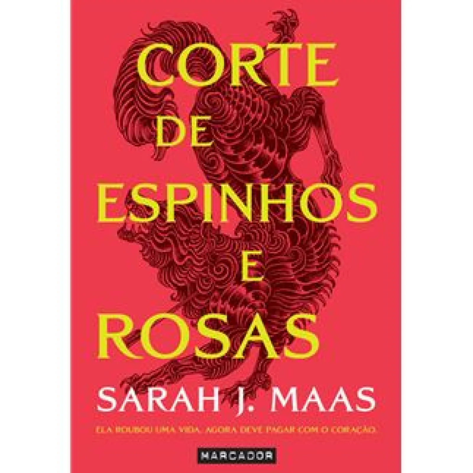 Marcador Corte de Espinhos e Rosas de Sarah J. Maas - Acotar Livro 1^ Romance