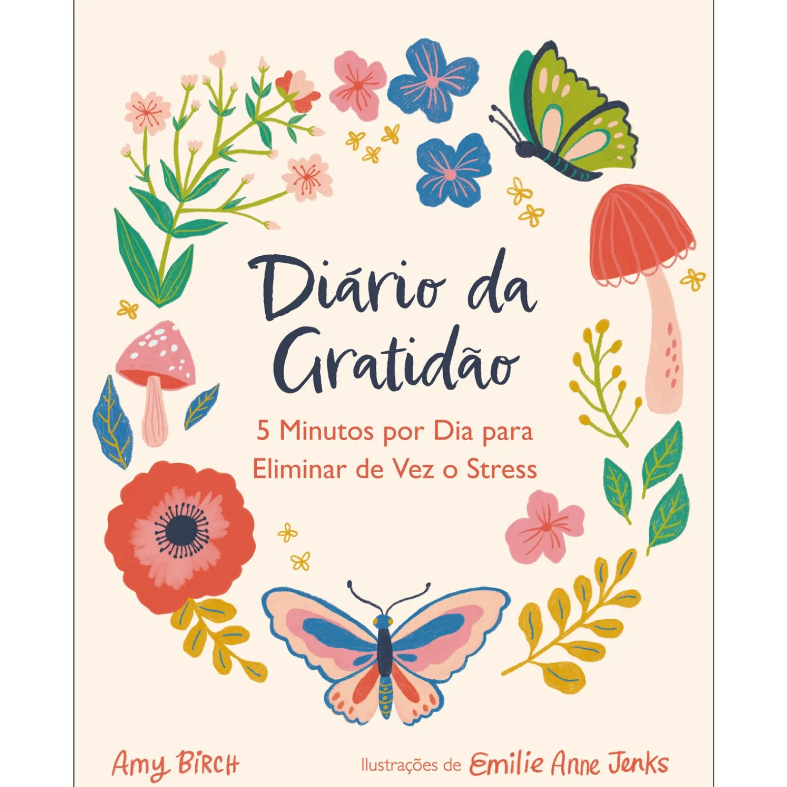 Nascente Diário da Gratidão de Amy Birch; Ilustração: Emilie Anne Jenks de Amy Birch^ Saúde E Bem Estar