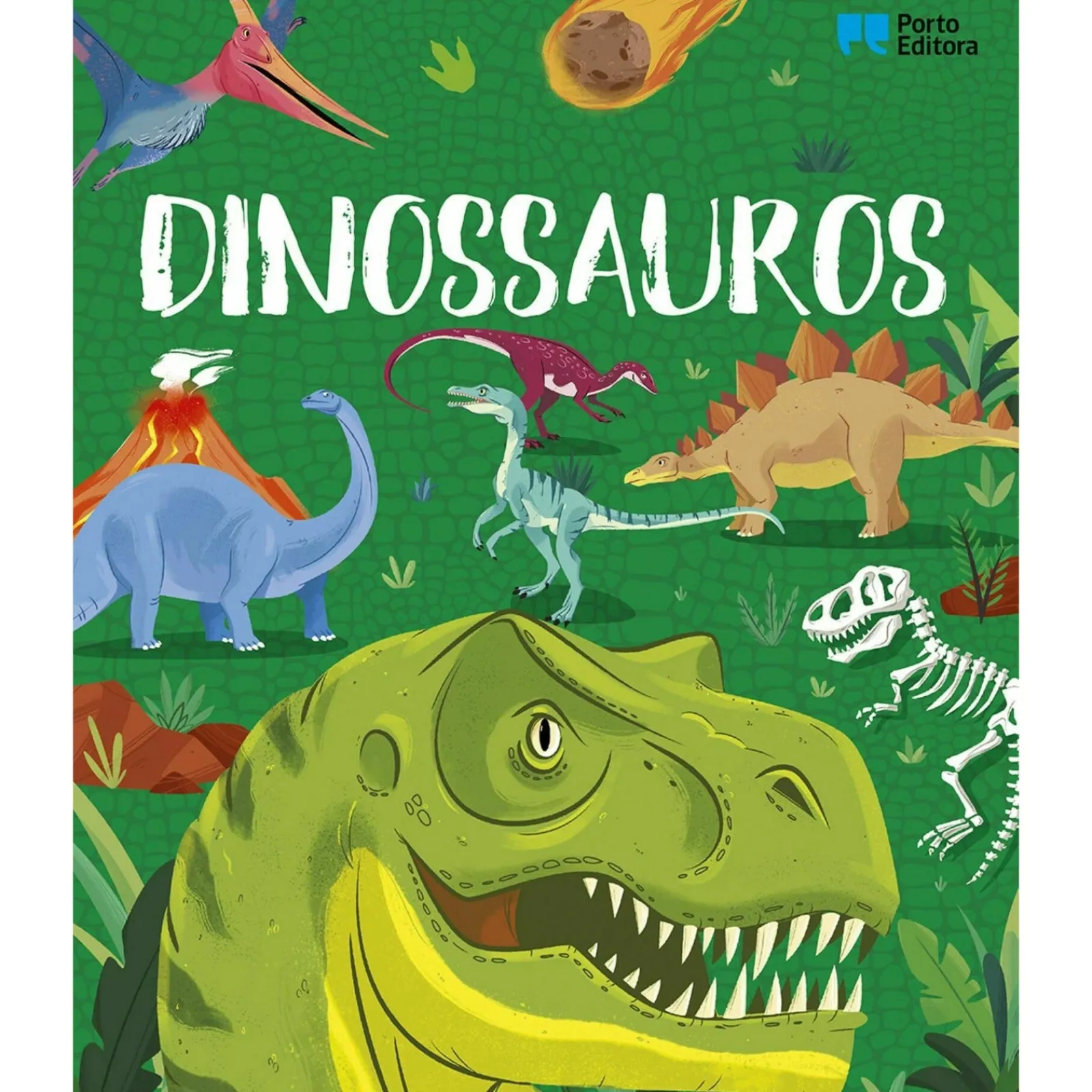 Porto Editora Enciclopédia dos Curiosos - Dinossauros^ Conhecimento