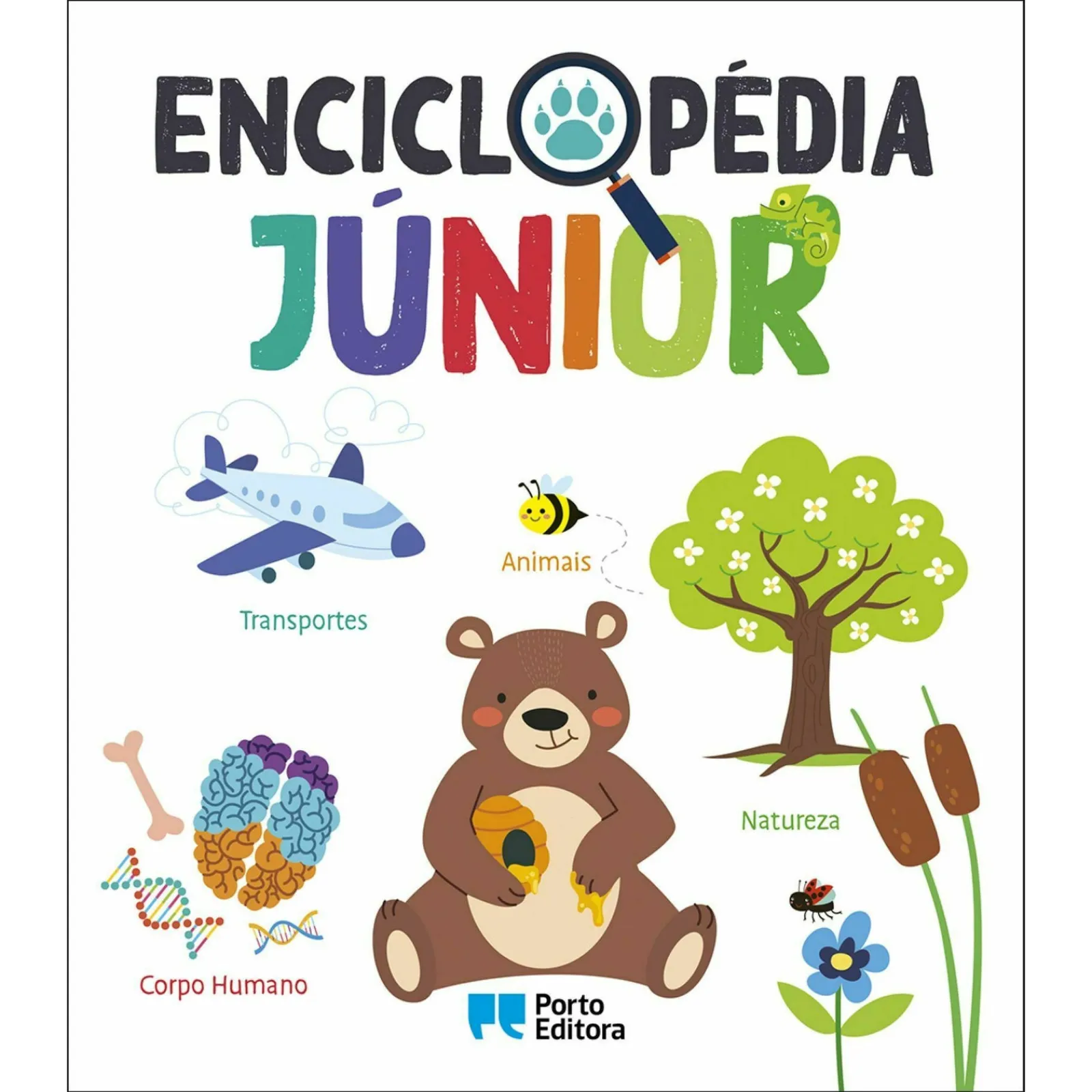 Porto Editora Enciclopédia Júnior^ Atividades