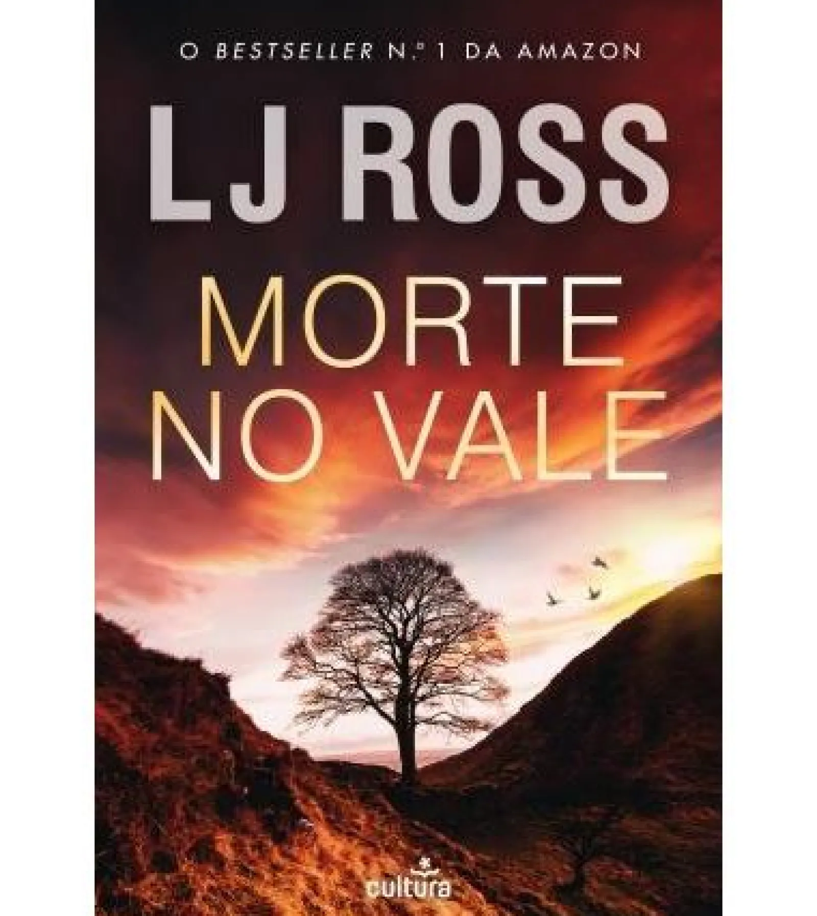 Presença Era uma Vez um Coração Partido de Stephanie Garber - Once Upon a Broken Heart - Livro 1^ Fantástico