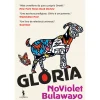 Dom Quixote Glória de NoViolet Bulawayo^ Romance