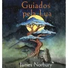 Iguana Guiados Pela Lua de James Norbury^ Banda Desenhada E Novelas Gráficas