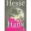 Dom Quixote Hans - Sob o Peso das Rodas de Hermann Hesse^ Vidas Reais