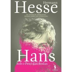 Dom Quixote Hans - Sob o Peso das Rodas de Hermann Hesse^ Vidas Reais