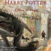 Presença Harry Potter e o Cálice de Fogo de J. K. Rowling - Edição Ilustrada^ Coleções Juvenis