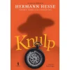 Dom Quixote Knulp de Hermann Hesse^ Romance