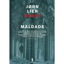 Dom Quixote Maldade de Jørn Lier Horst^ Policial