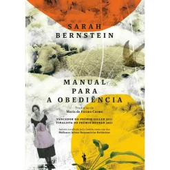 Dom Quixote Manual para a Obediência de Sarah Bernstein^ Romance