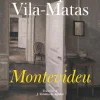 Dom Quixote Montevideu de Enrique Vila-Matas^ Romance