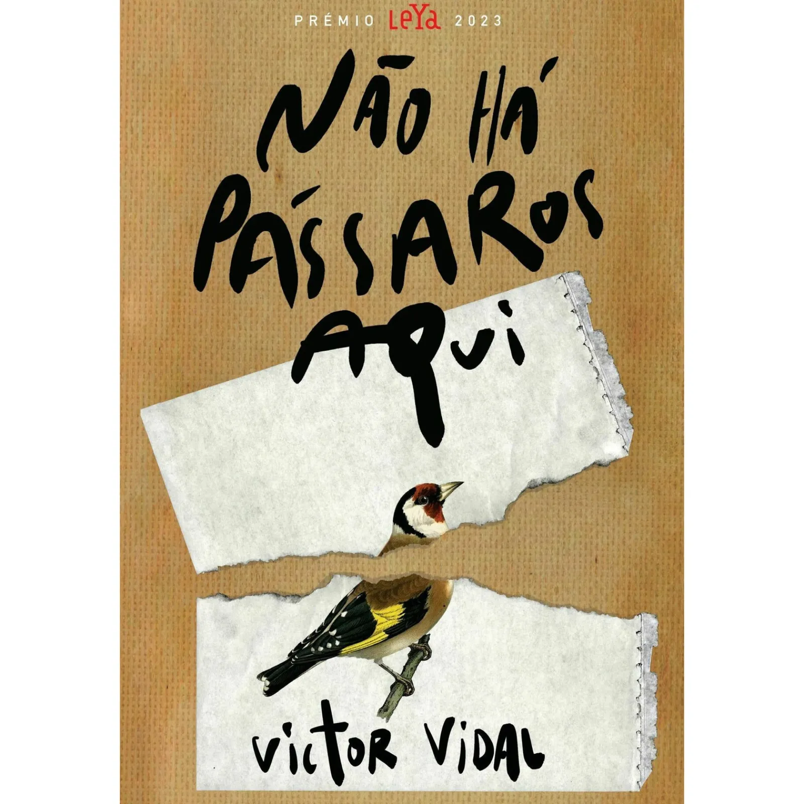 Leya Não Há Pássaros Aqui de Victor Vidal^ Romance