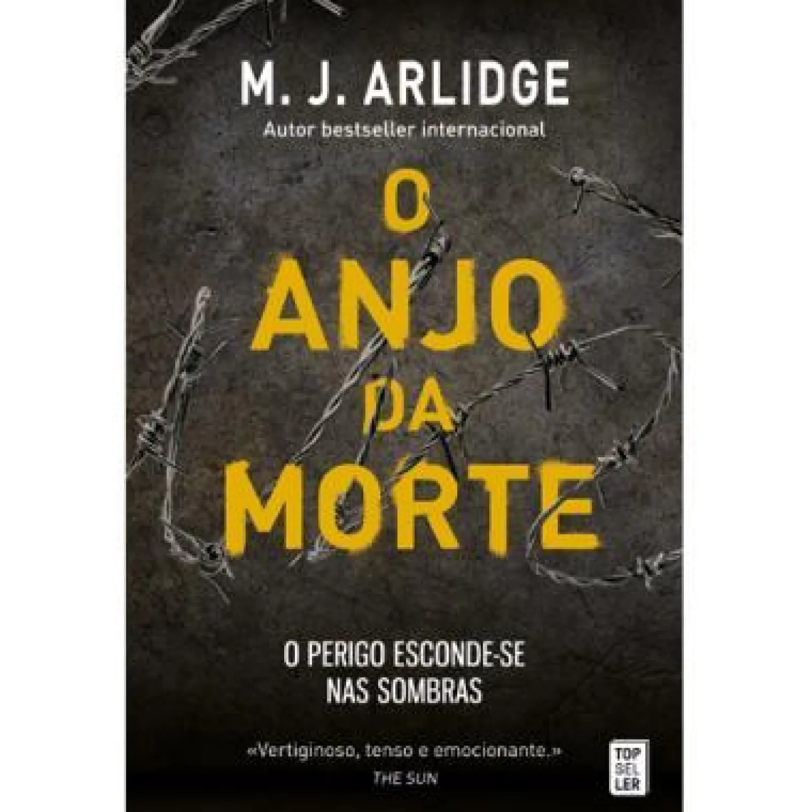 Topseller O Anjo da Morte de M. J. Arlidge - Helen Grace - Livro 6 (2ª Edição)^ Policial
