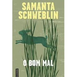 Elsinore O Bom Mal de Samanta Schweblin^ Romance