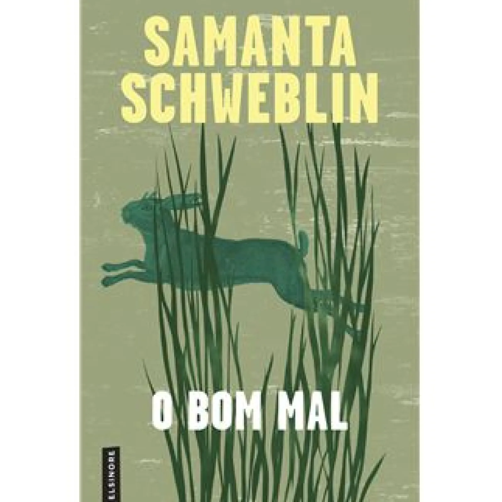Elsinore O Bom Mal de Samanta Schweblin^ Romance