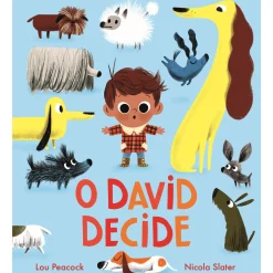 Nuvem De Letras O David Decide de Lou Peacock^ Literatura Infantil