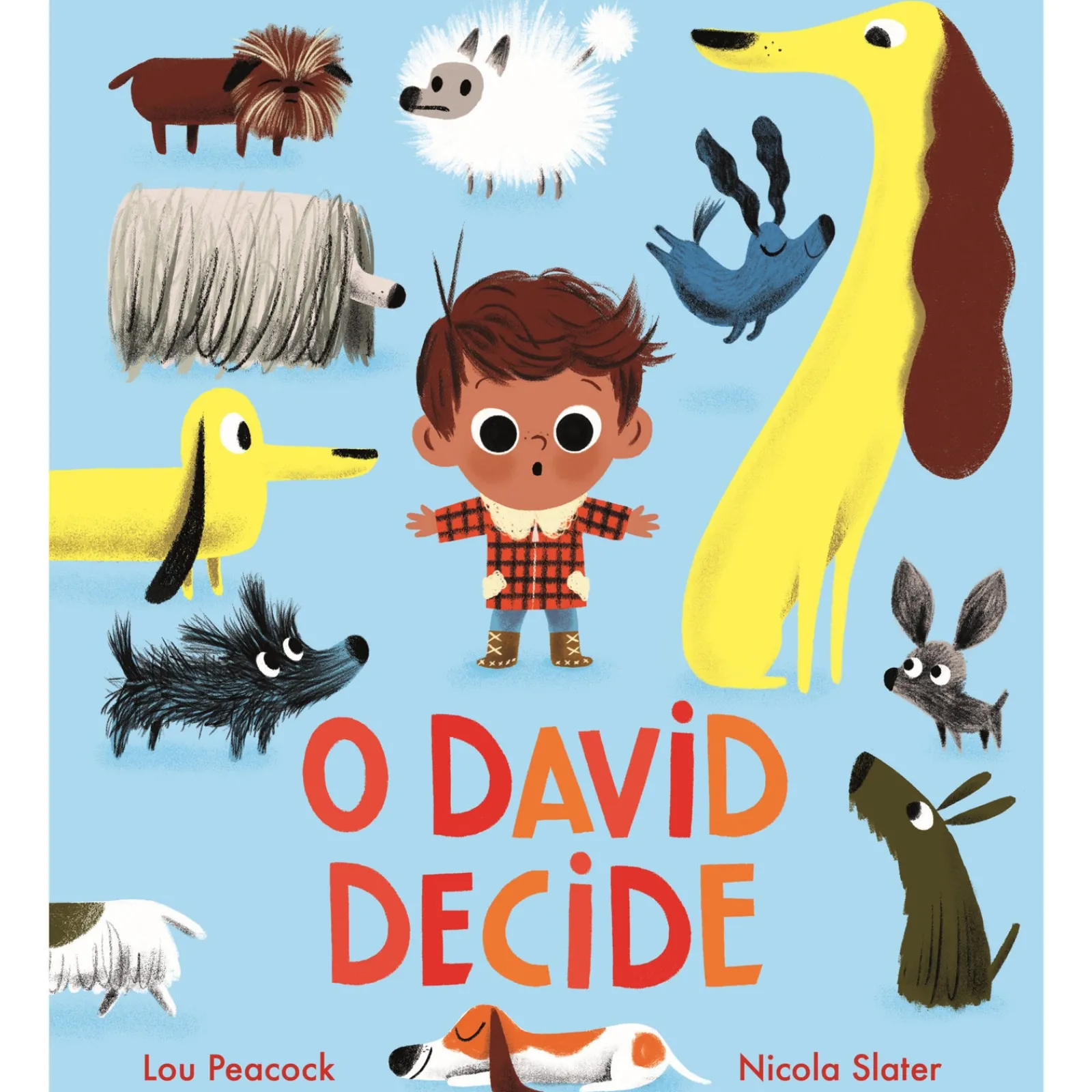 Nuvem De Letras O David Decide de Lou Peacock^ Literatura Infantil