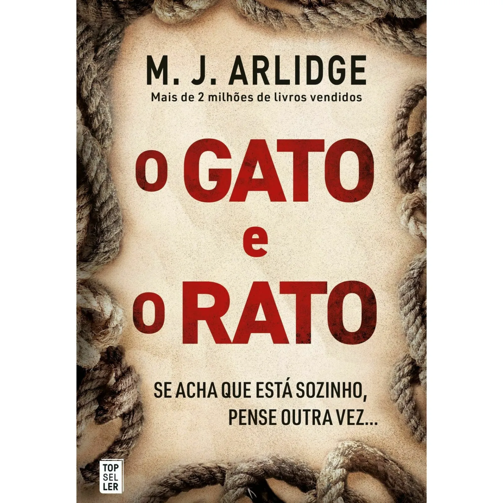 Topseller O Gato e o Rato de M.J. Arlidge^ Policial