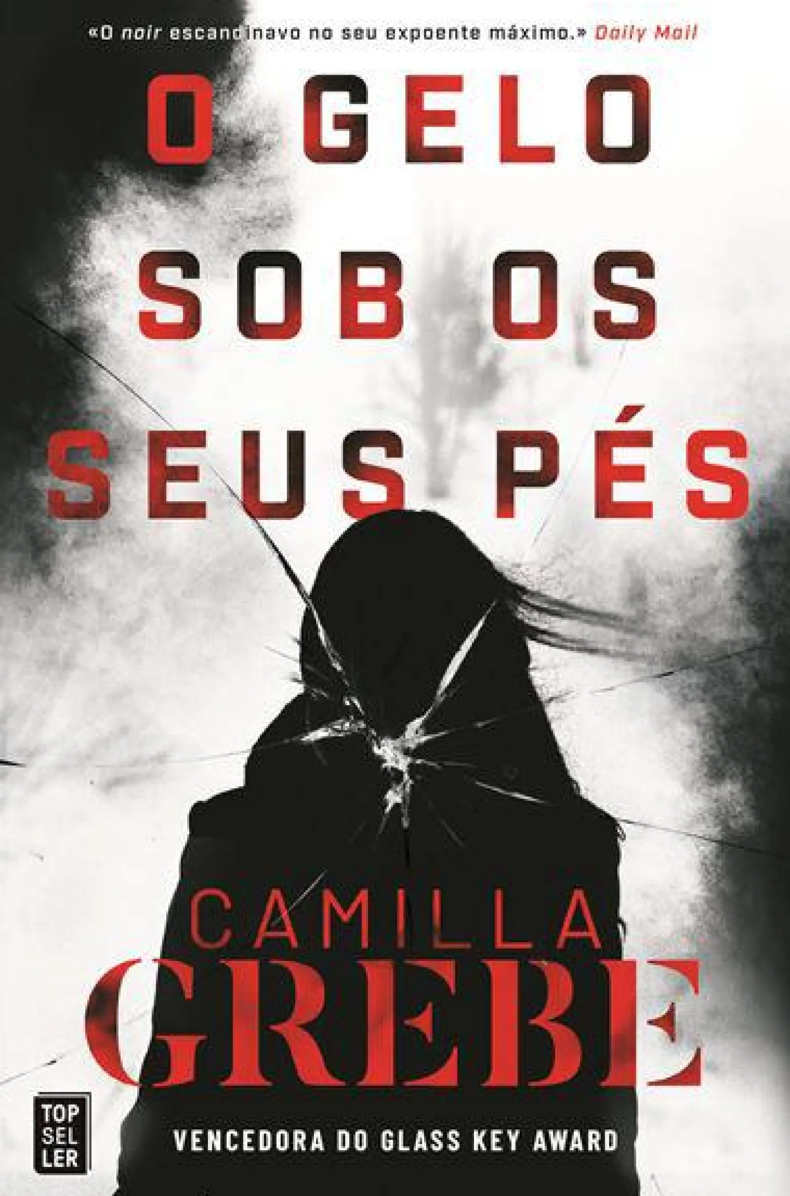 Topseller O Gelo Sob os seus Pés de Camilla Grebe^ Policial