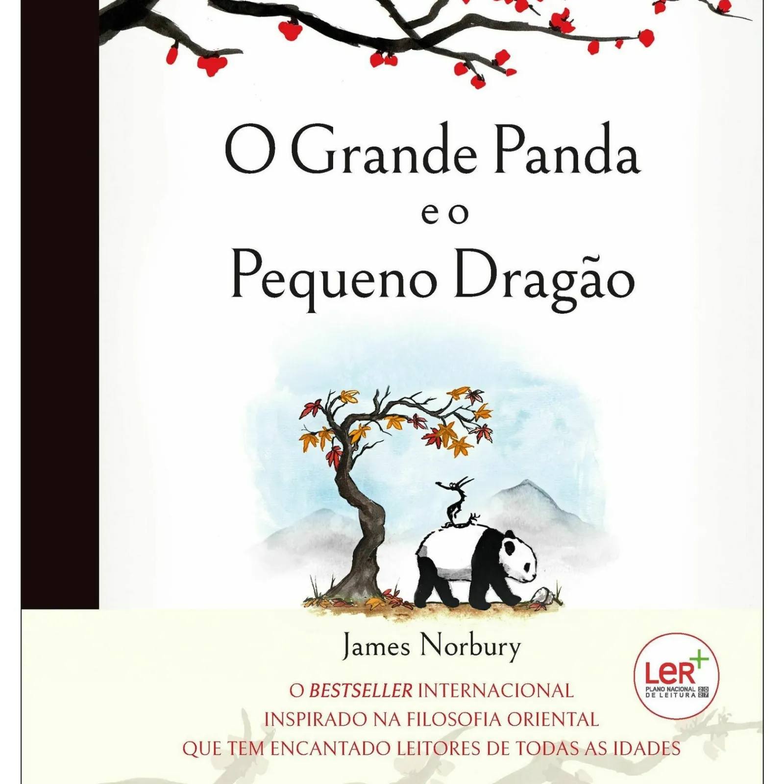 Iguana O Grande Panda e o Pequeno Dragão de James Norbury^ Banda Desenhada E Novelas Gráficas