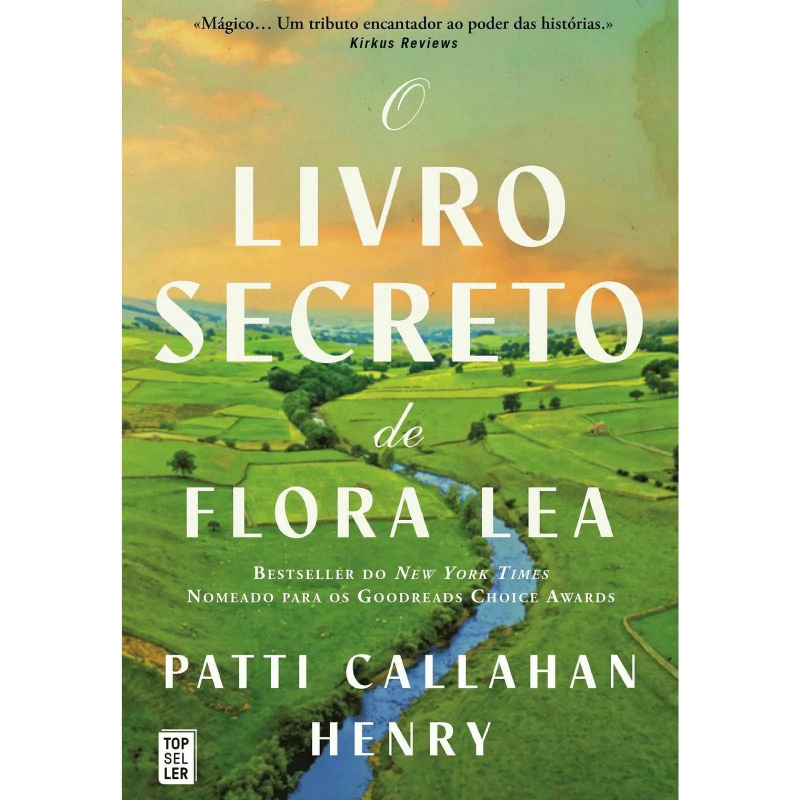 Topseller O Livro Secreto de Flora Lea de Patti Callahan Henr^ Romance Histórico