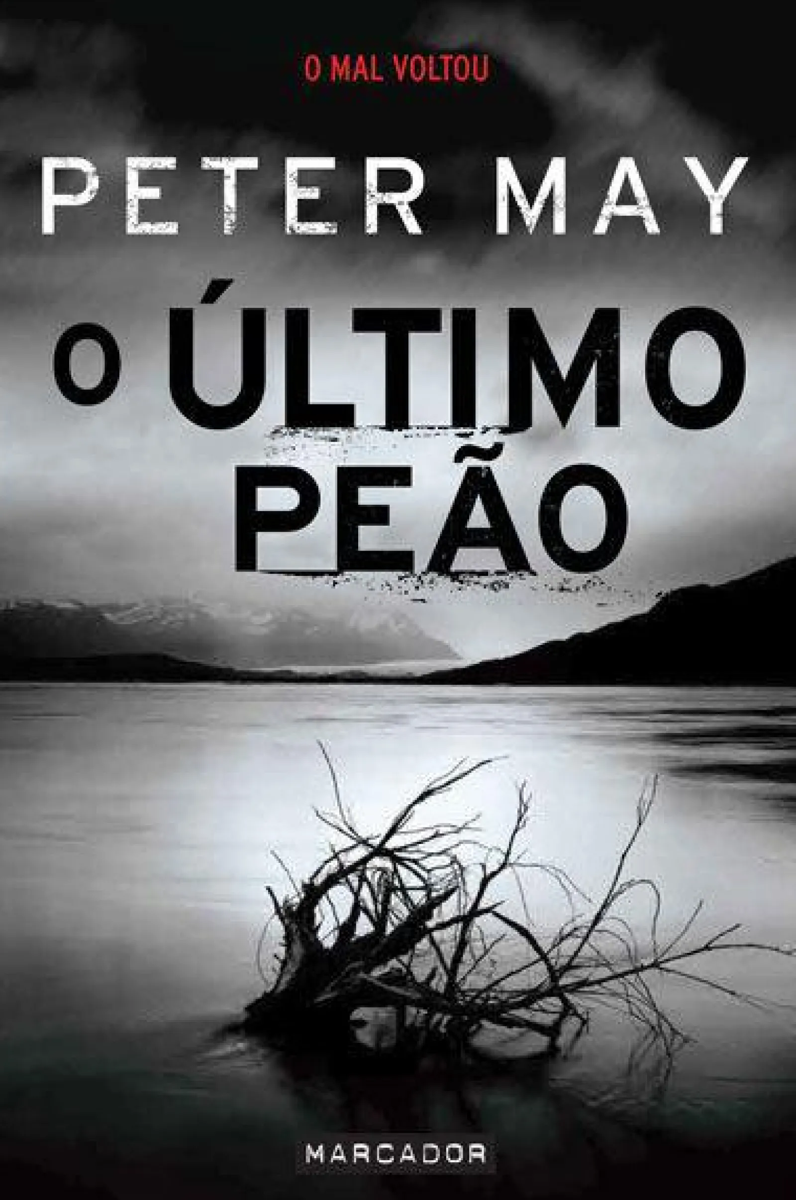 Marcador O Último Peão de Peter May^ Policial