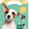 Livros Mch O Mundo dos Cães - Minha Malinha^ Atividades