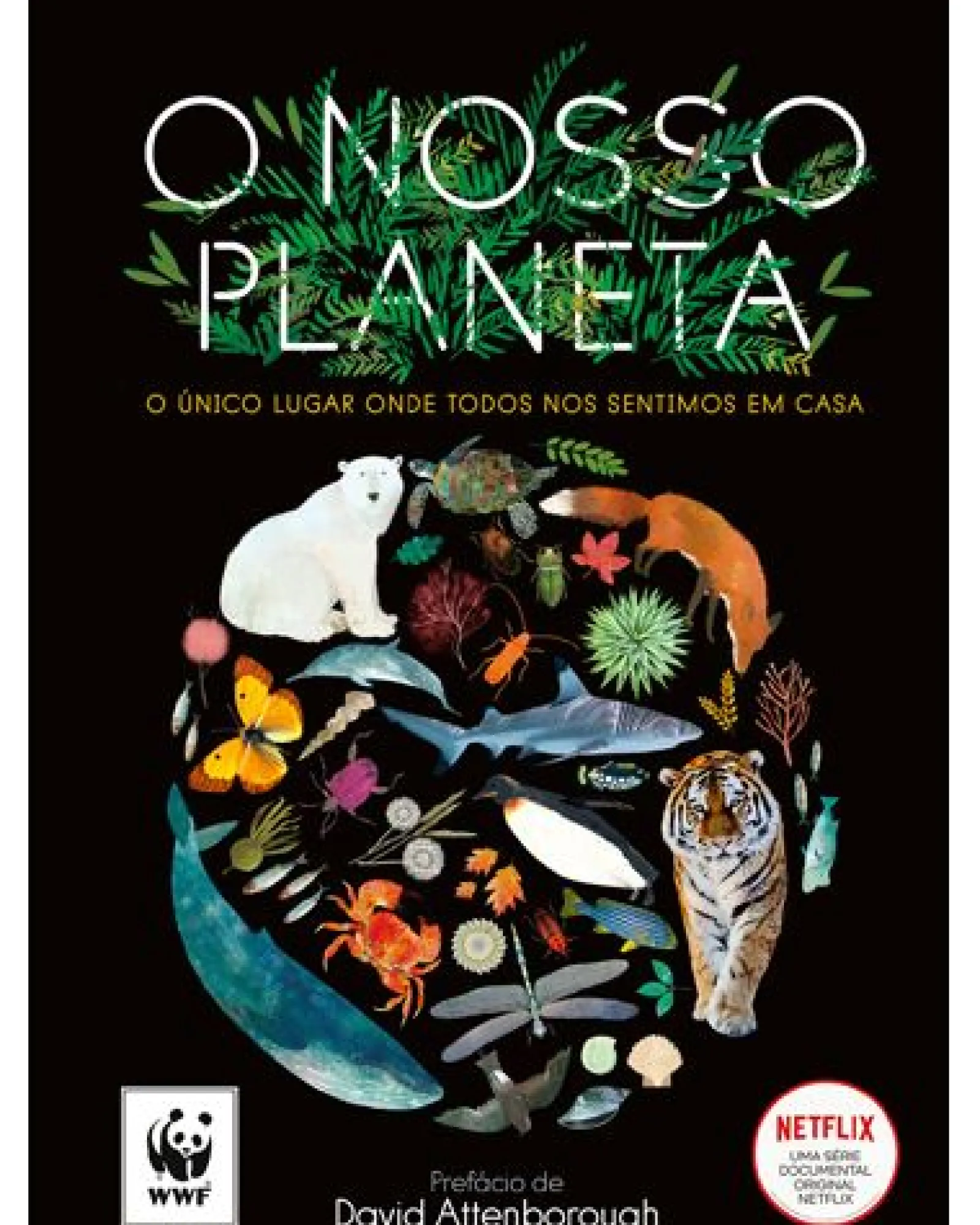 Nuvem De Letras O Nosso Planeta de Matt Whyman - O Único Lugar Onde Todos nos Sentimos em Casa^ Conhecimento