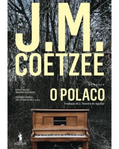 Dom Quixote O Polaco de J. M. Coetzee^ Romance