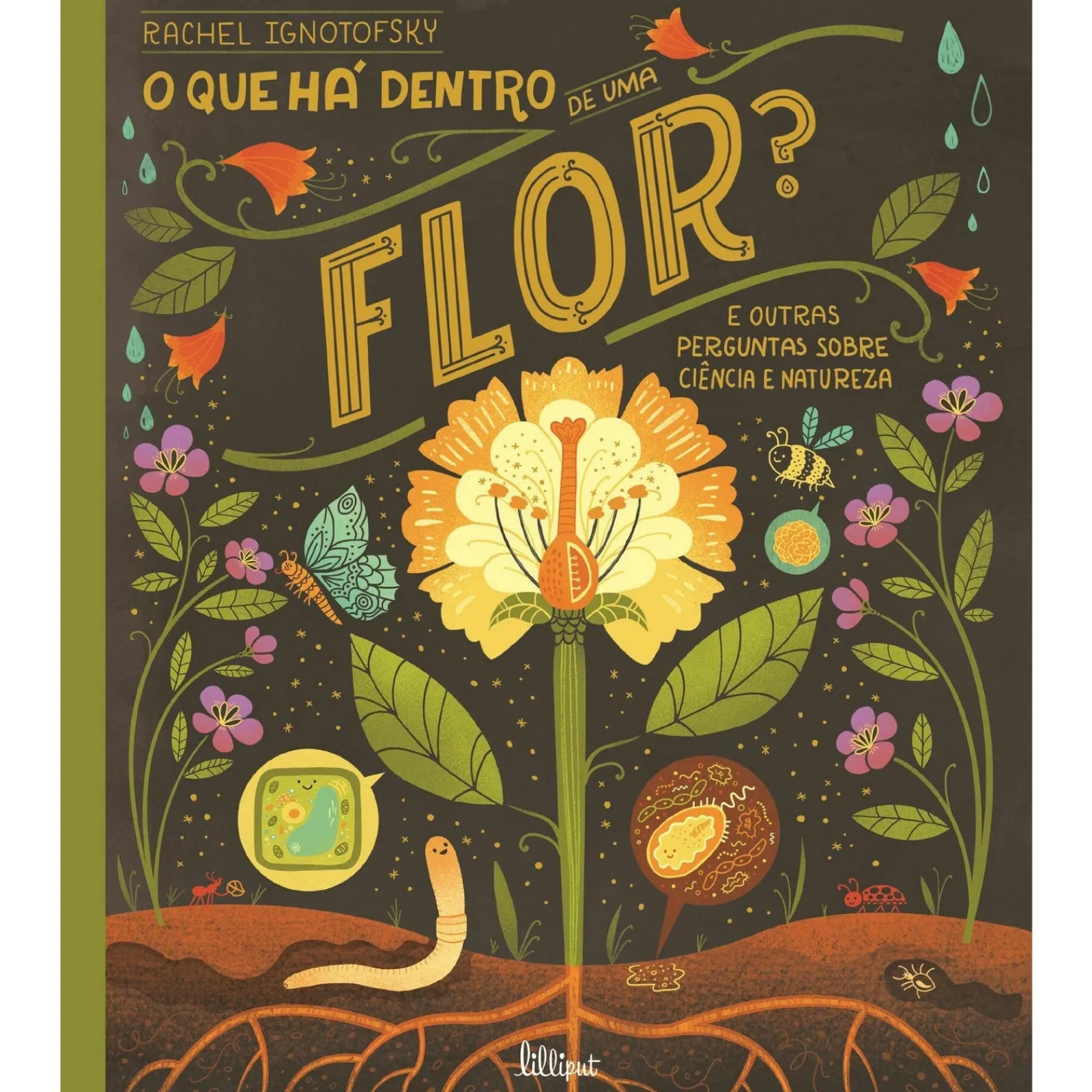 Nuvem De Letras O que Há Dentro de uma Flor? de Rachel Ignotofsky^ Conhecimento