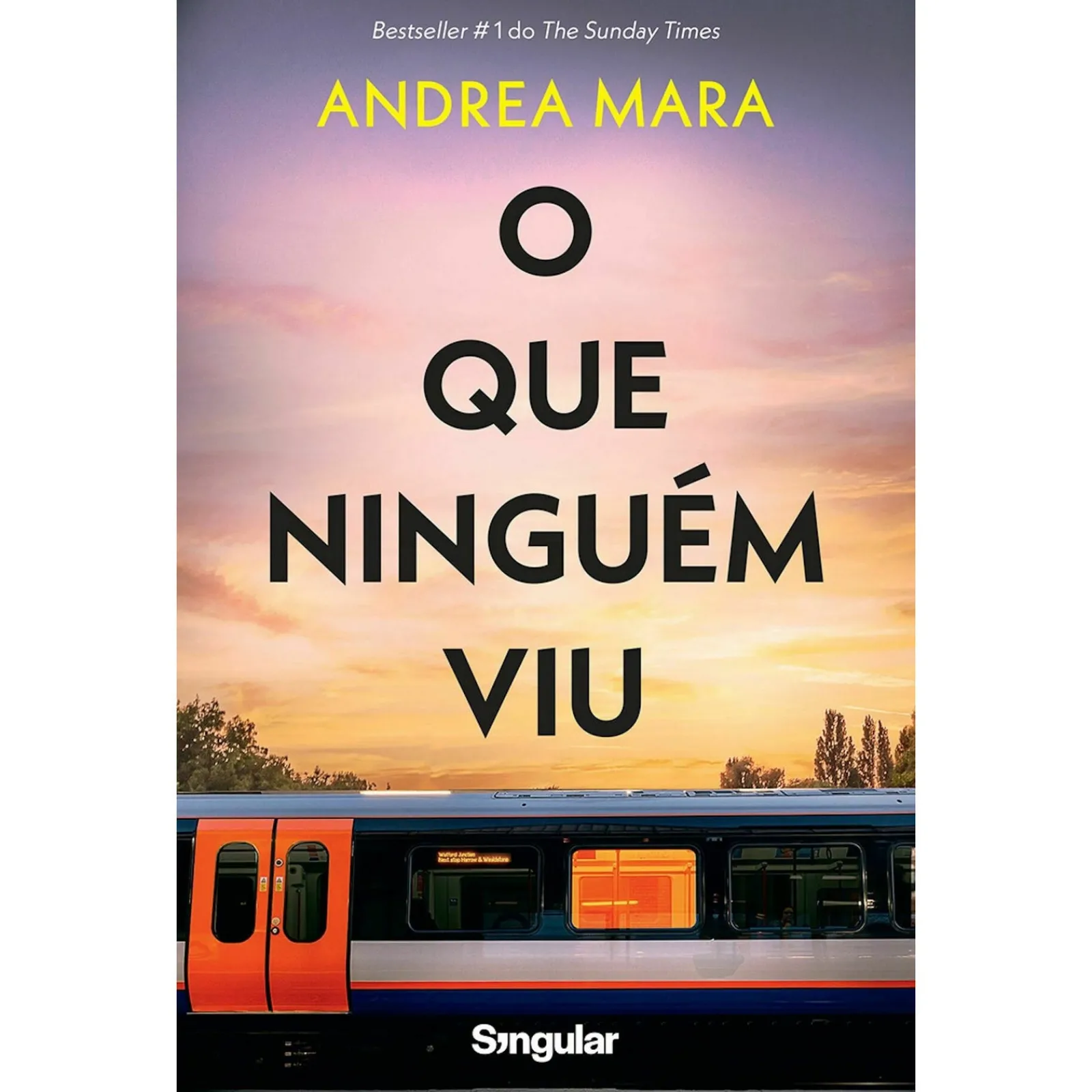 Singular O que Ninguém Viu de Andrea Mara^ Policial