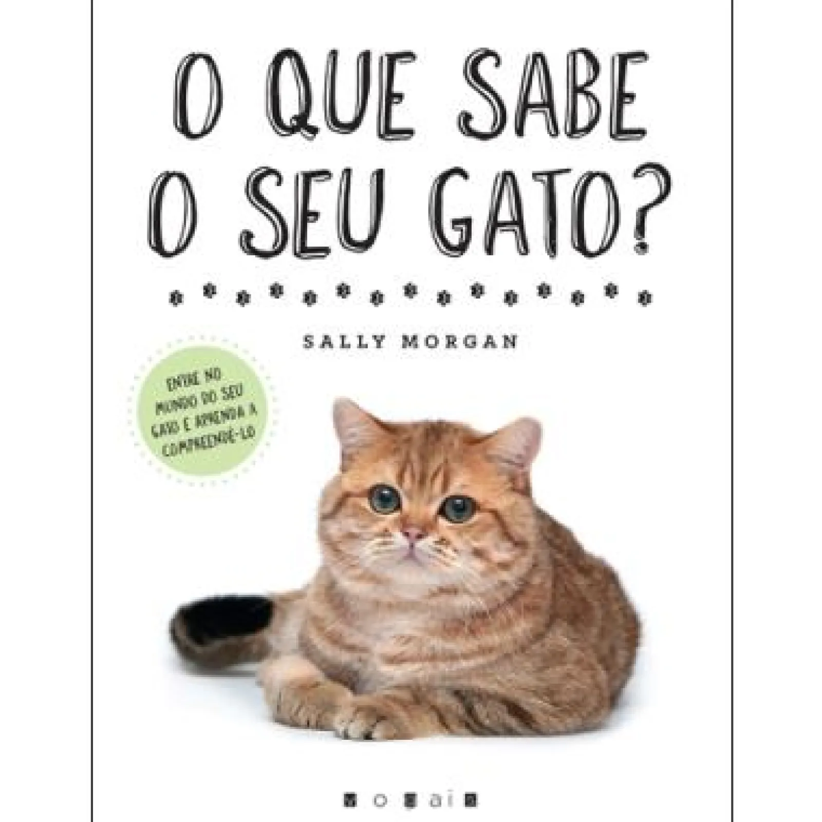 Vogais O que Sabe o seu Gato?^ Tempos Livres