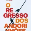 Dom Quixote O Regresso dos Andorinhões de Fernando Aramburu^ Romance